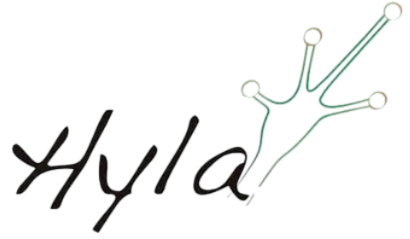 Logotipo sin fondo