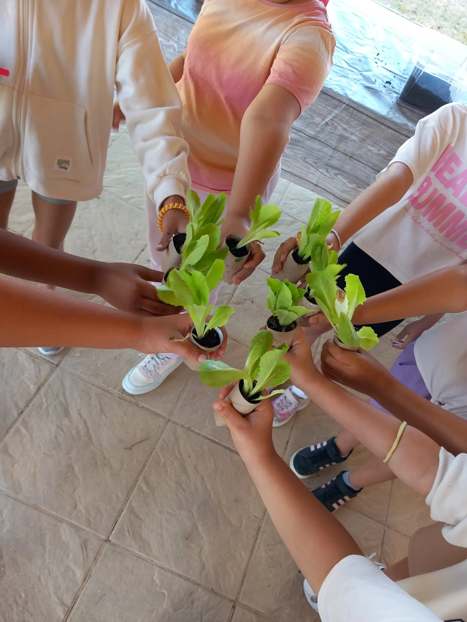 Formación y proyectos medioambientales en Andalucía