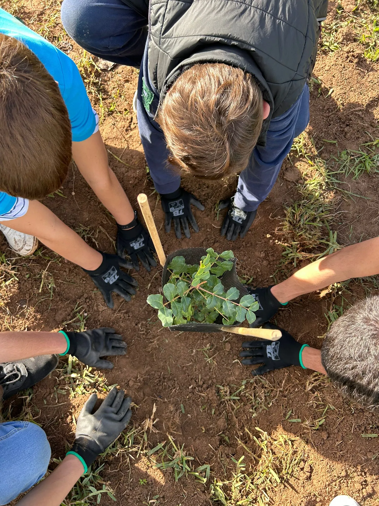 Formación y proyectos medioambientales en Andalucía