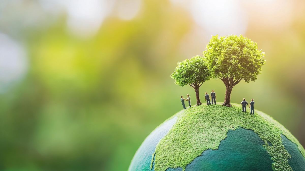 servicios medioambientales